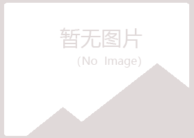 鹤岗东山忆霜金属有限公司